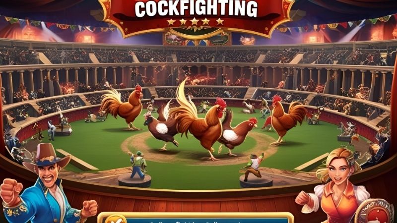 Tổng quan về sảnh Đá gà tại Kubet